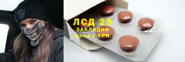 хмурый Ладушкин