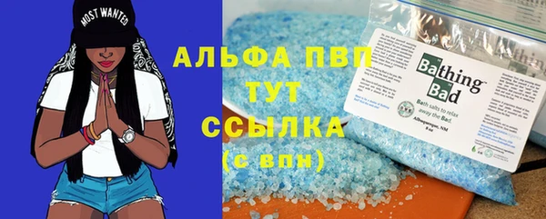 хмурый Ладушкин