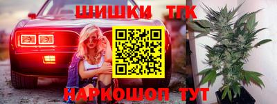 индика Ирбит