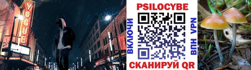 Галлюциногенные грибы Psilocybe  Лесозаводск 