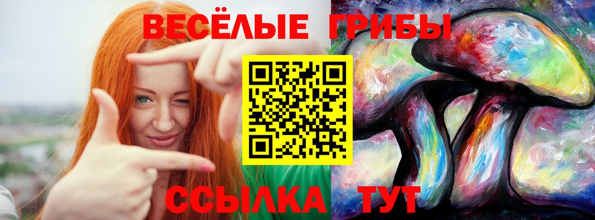Лесозаводск  Галлюциногенные грибы Psilocybe  Псилоцибиновые грибы MAGIC MUSHROOMS  Вход с VPN 